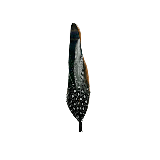 Pluma decorativa - Goose Hatmakers